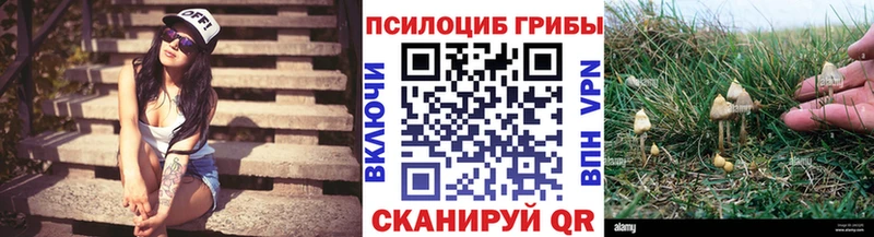 где можно купить   Заозёрск  Псилоцибиновые грибы GOLDEN TEACHER 